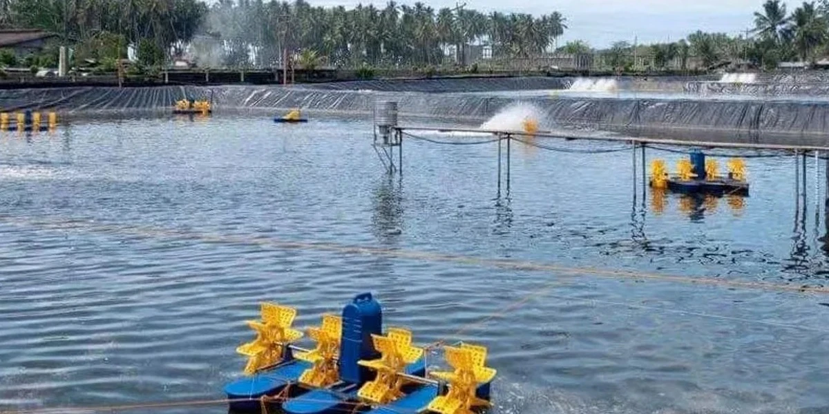 HDPE vs. PVC Pond Lining: A Complete Comparison of Durability, Cost, and Performance