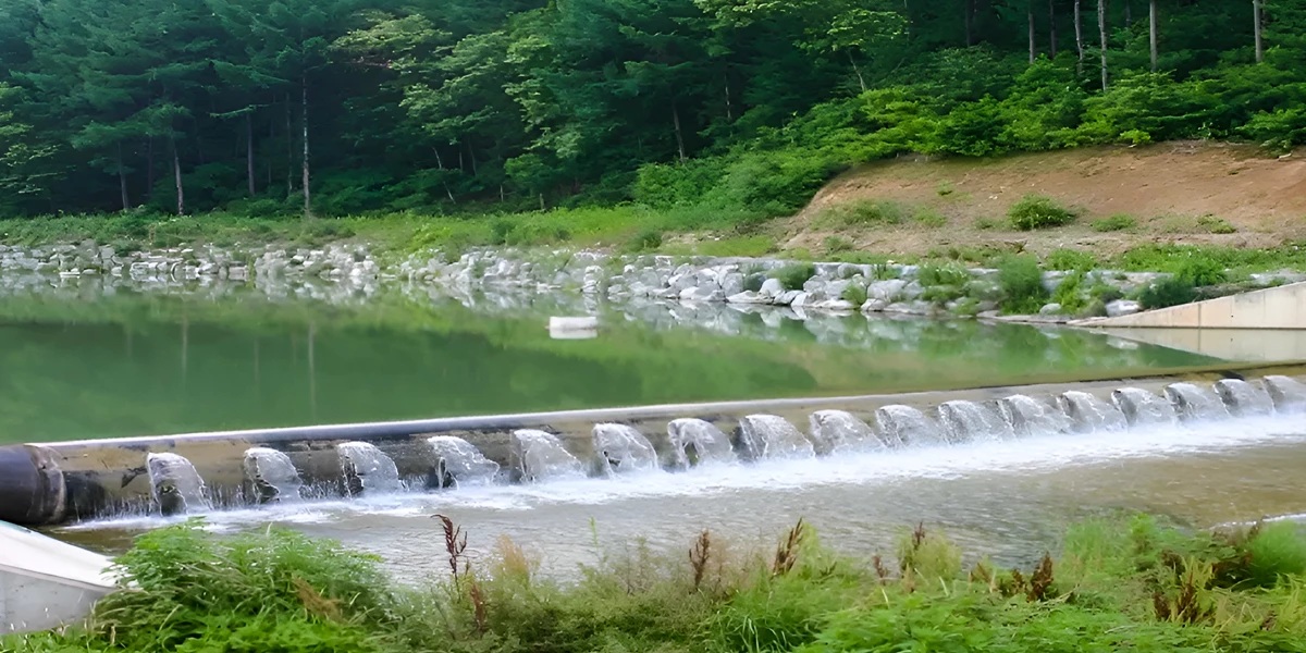 Environmental Impact of Installing Rubber Dams in River Systems