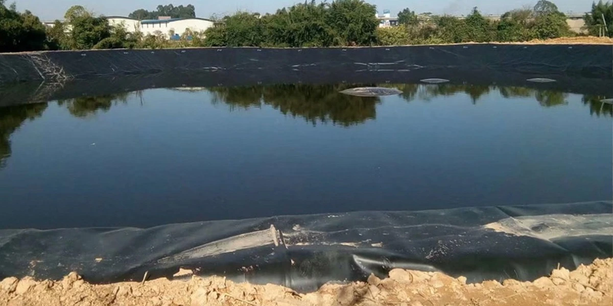 Winter Care Tips: Protecting Your Pond Liner in Cold Weather