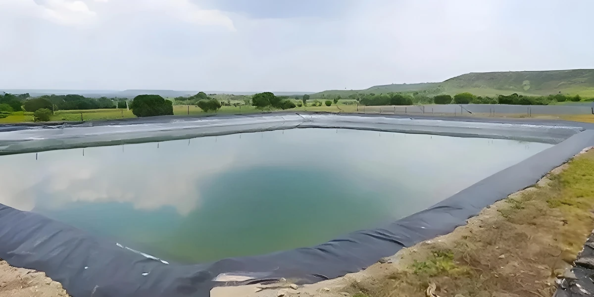 Saving Every Drop: How Pond Liners Beat the Summer Heat